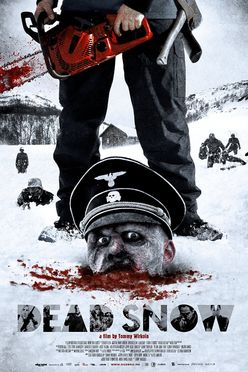 A poster from Dead Snow (2009)